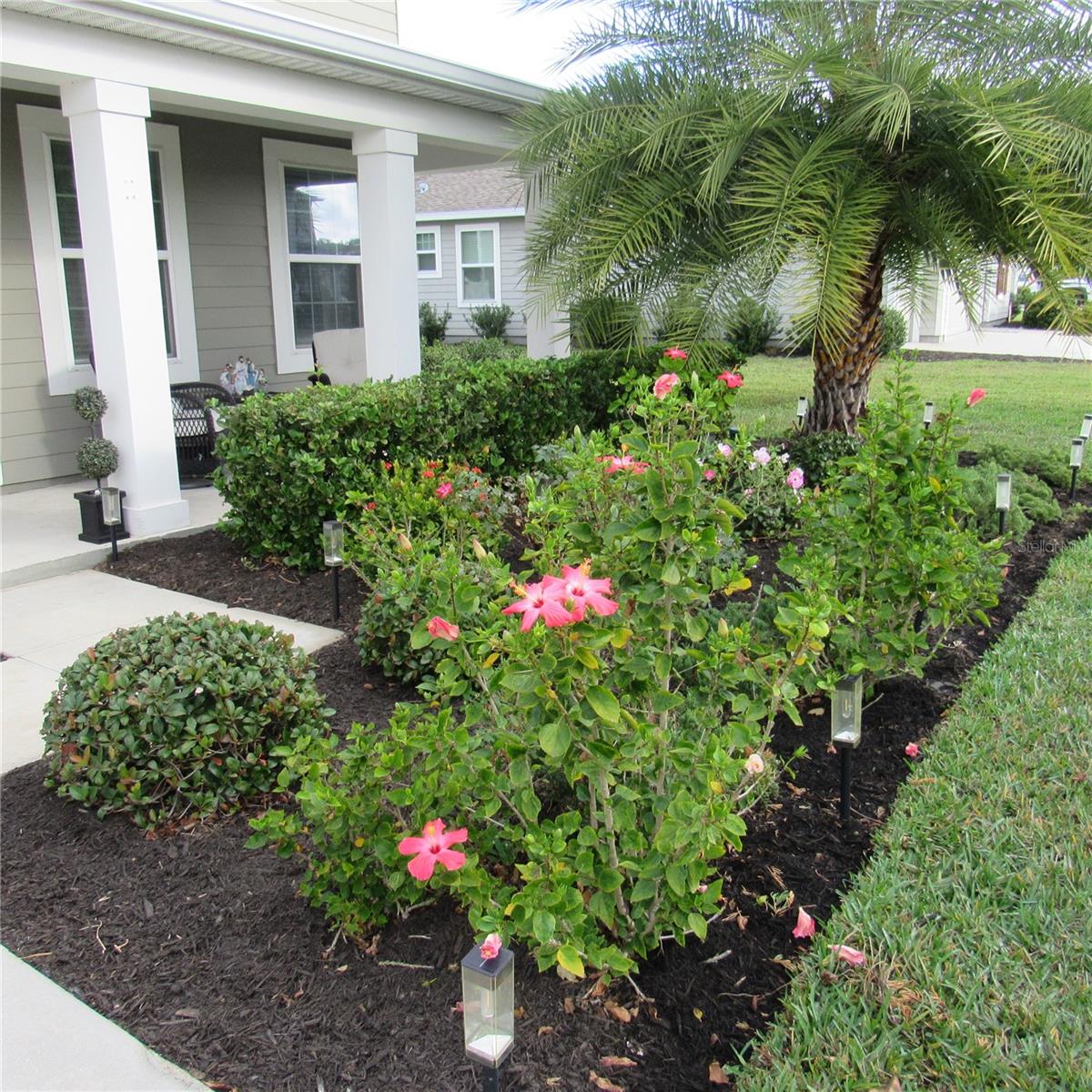 5686 ALENLON WAY, MOUNT DORA, FL — photo 6