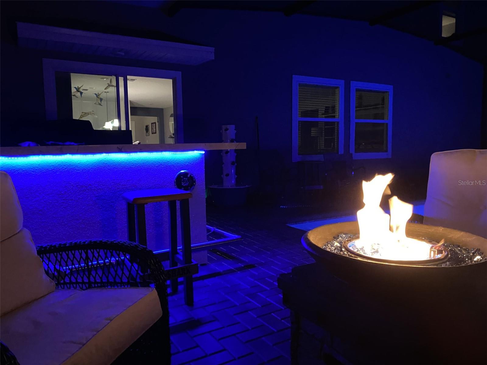 5686 ALENLON WAY, MOUNT DORA, FL — photo 59