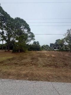 LOTS 17 & 18 HERNANDO RD, NORTH PORT, FL — photo 29