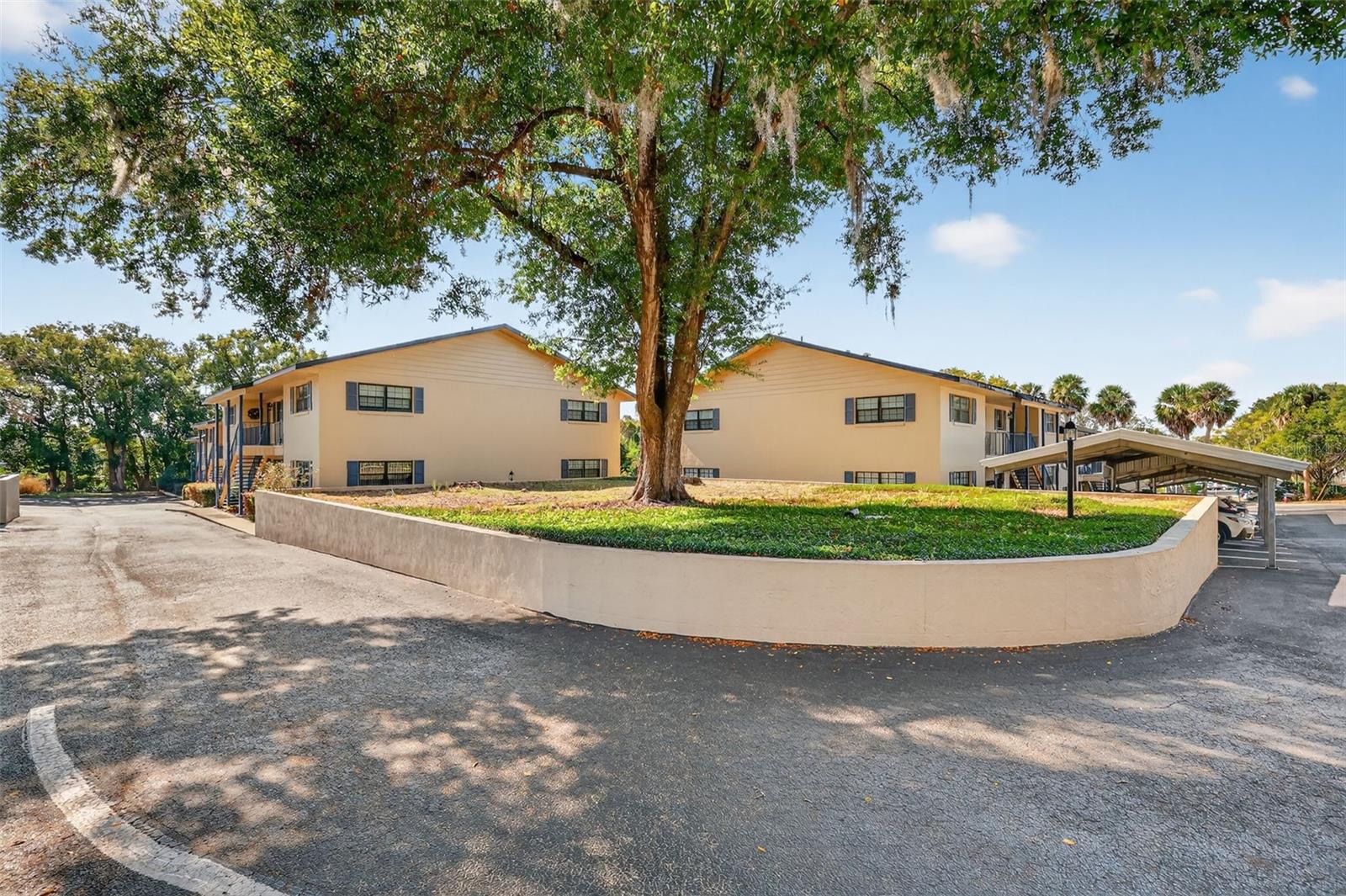 110 N TREMAIN ST #105, MOUNT DORA, FL