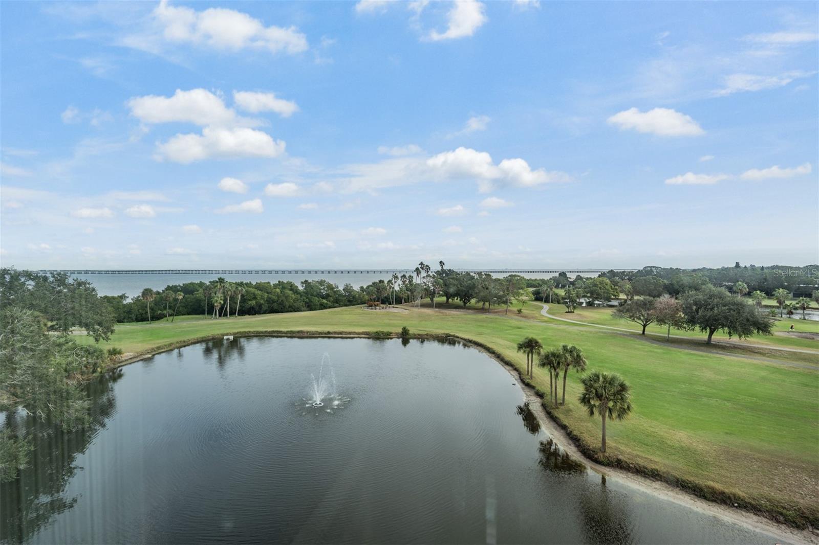 2620 COVE CAY DR #601, CLEARWATER, FL — photo 26