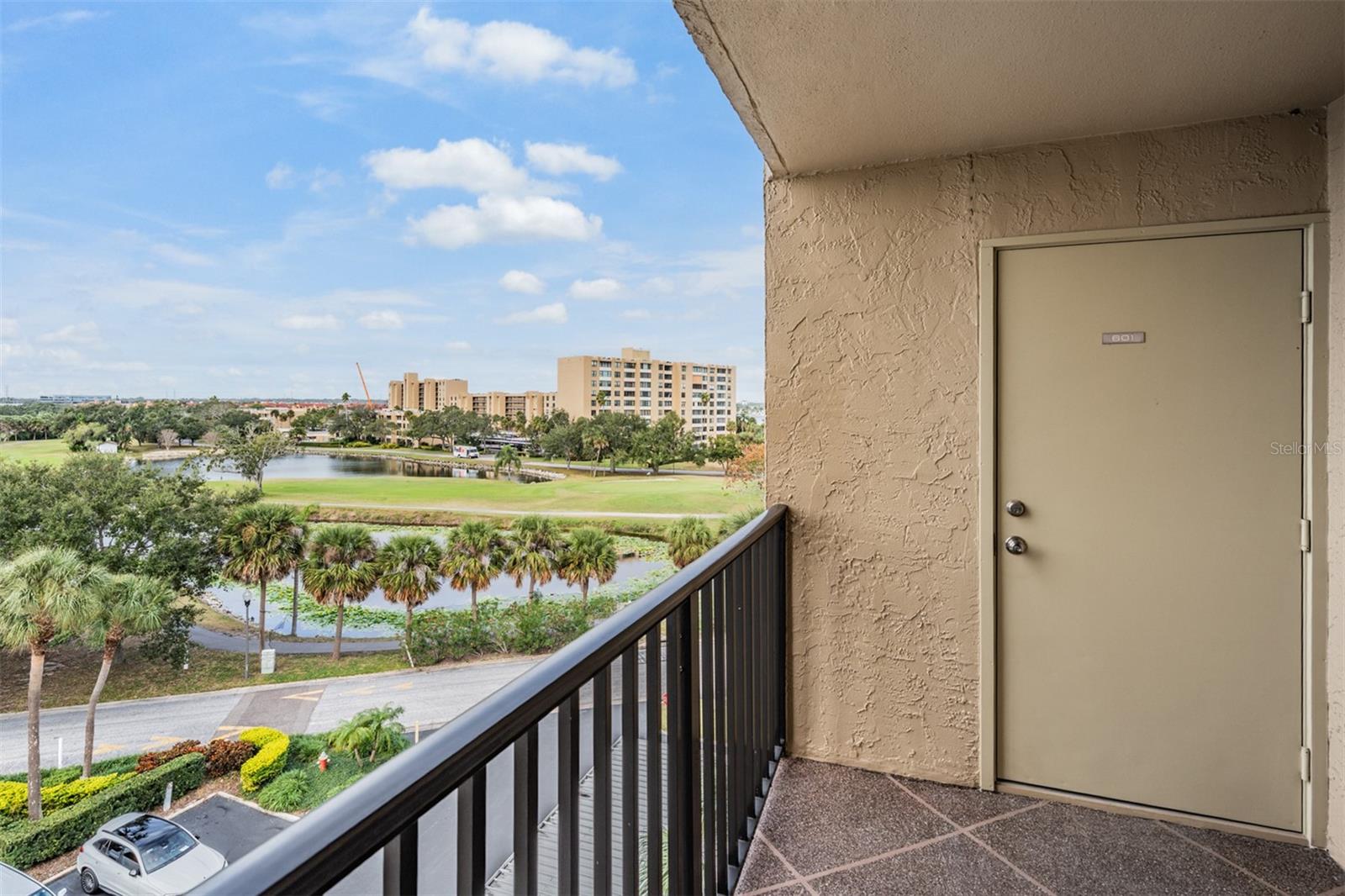 2620 COVE CAY DR #601, CLEARWATER, FL — photo 27