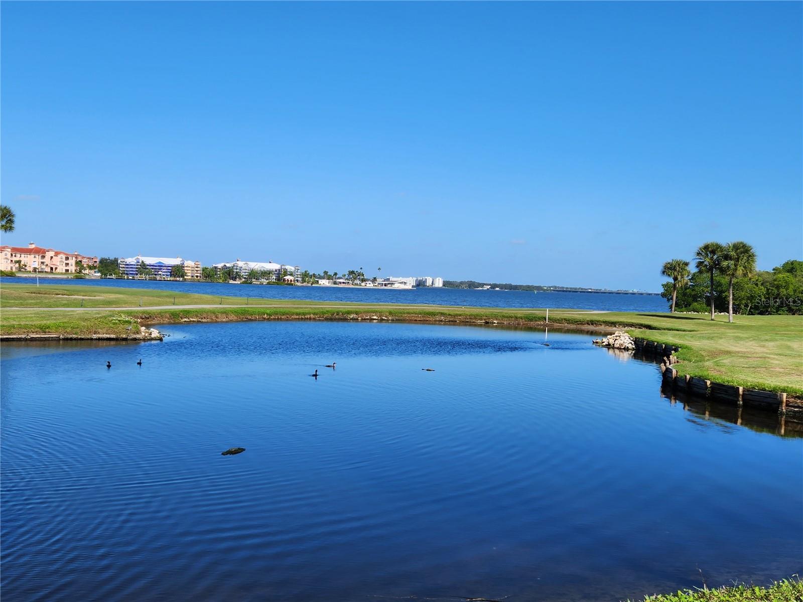 2620 COVE CAY DR #601, CLEARWATER, FL — photo 50