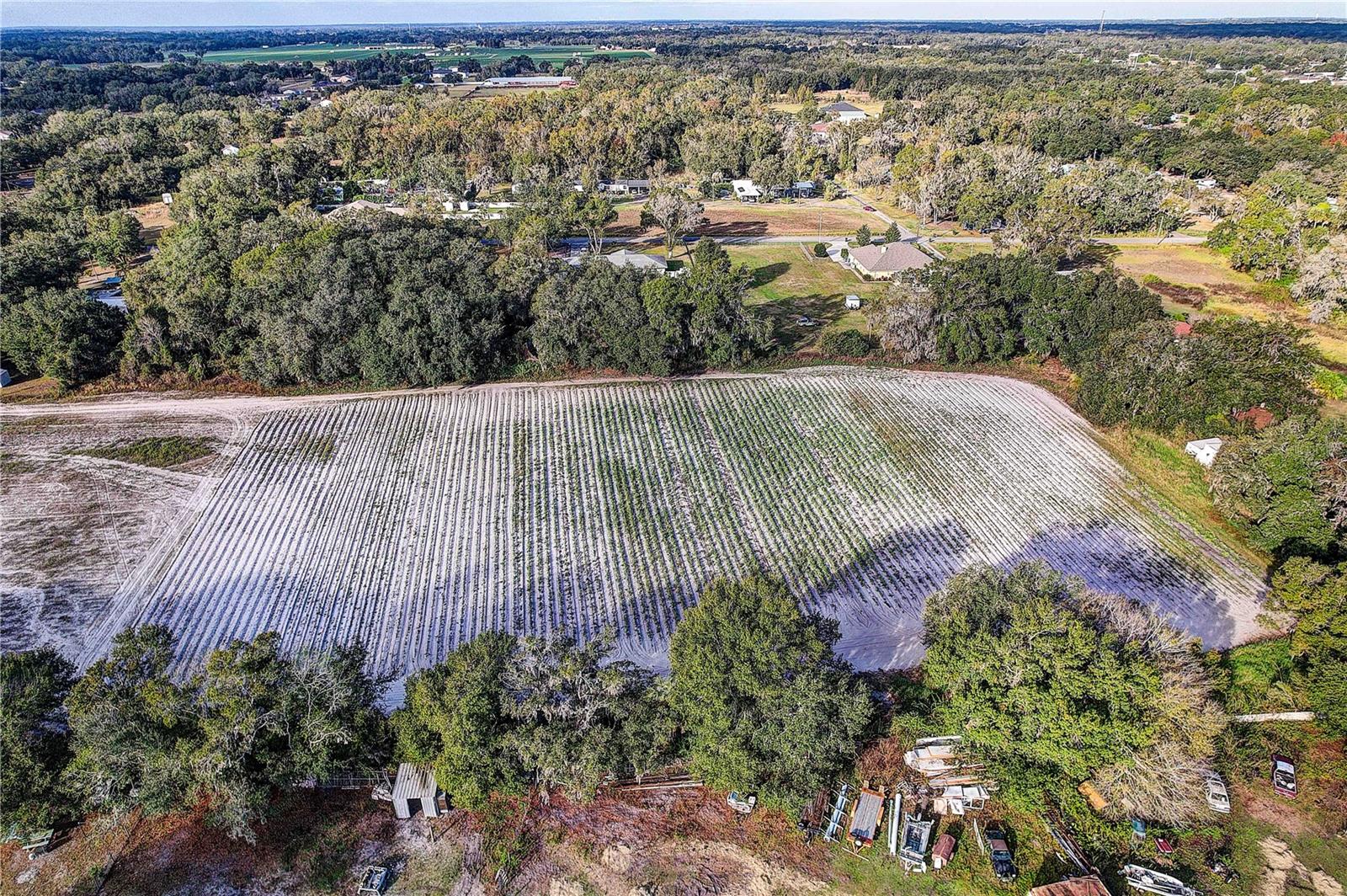 4822 NESMITH RD, PLANT CITY, FL — photo 13