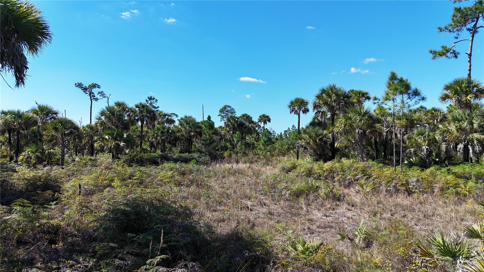 NA, NAPLES, FL — photo 15