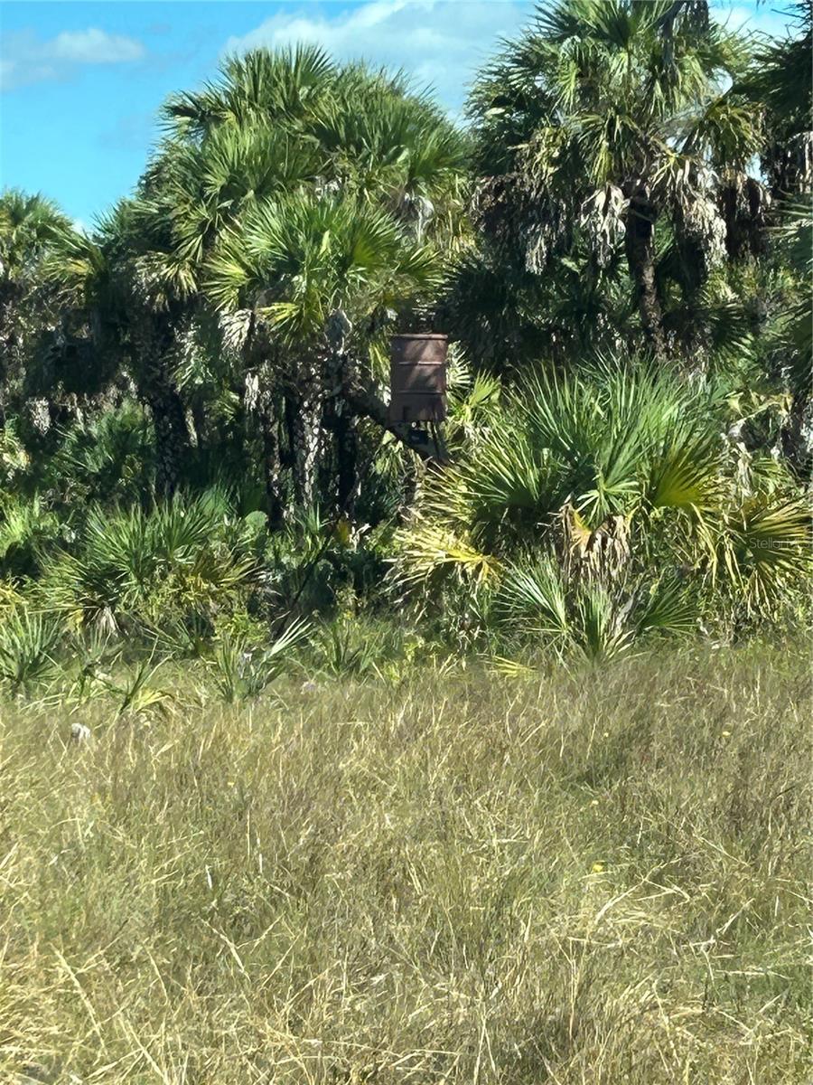 NA, NAPLES, FL — photo 35