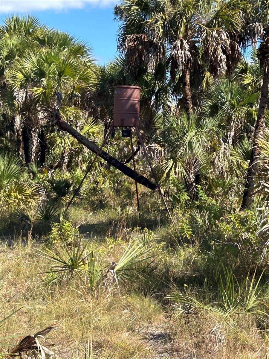 NA, NAPLES, FL — photo 36