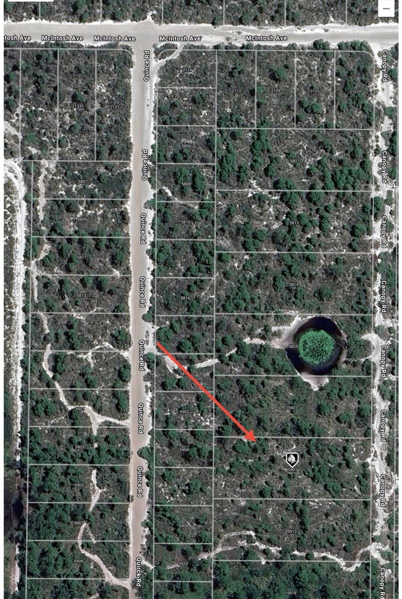 5907 CANOPY RD, SEBRING, FL — photo 6