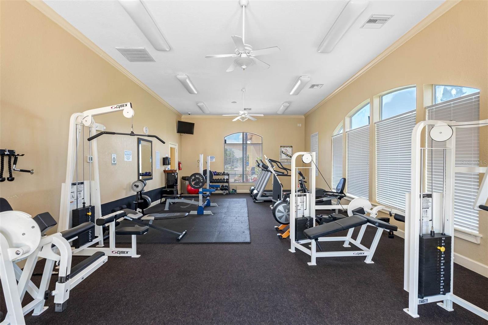 4345 BAYSIDE VILLAGE DR #302, TAMPA, FL — photo 52