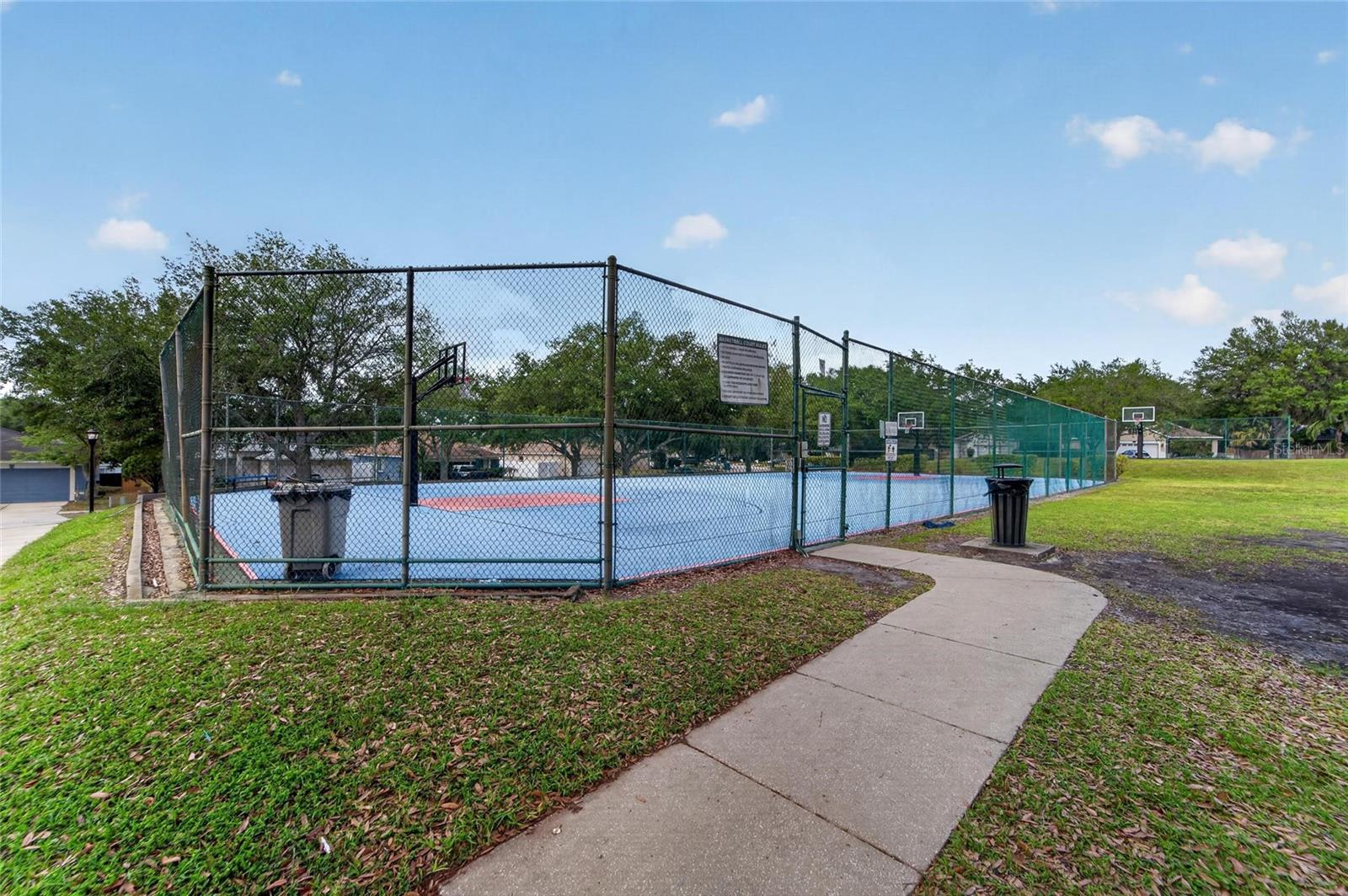 618 SOMERSTONE DR, VALRICO, FL — photo 44