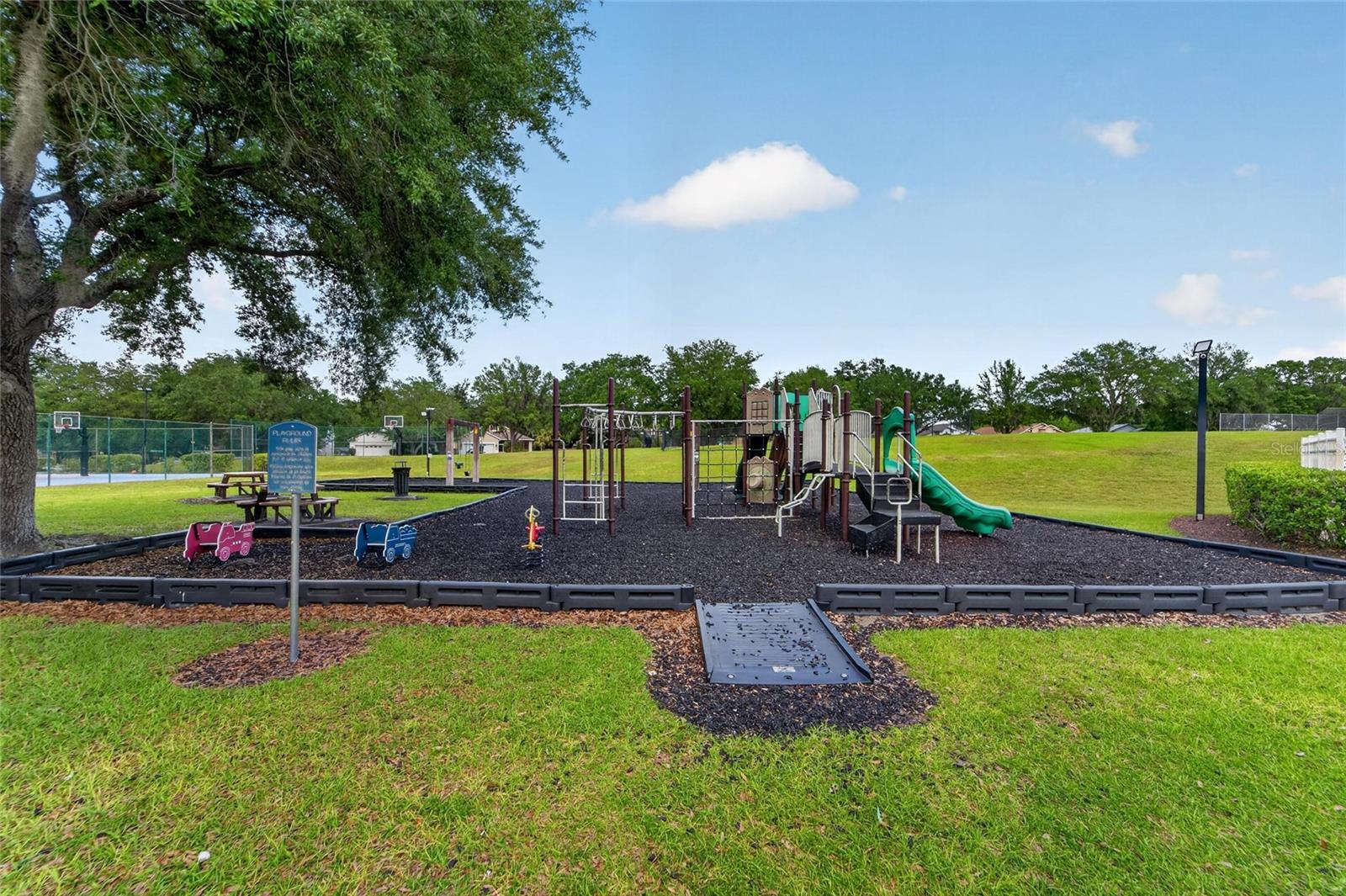 618 SOMERSTONE DR, VALRICO, FL — photo 63