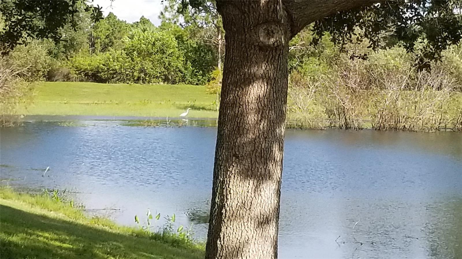 1134209220 BLACKWOOD CIR, NORTH PORT, FL — photo 34
