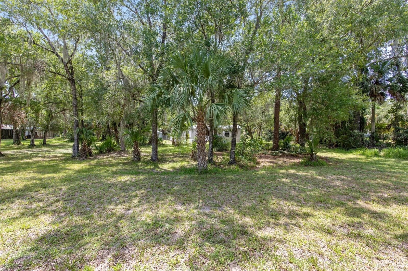 10220 W PAMONDEHO CIR, CRYSTAL RIVER, FL — photo 42