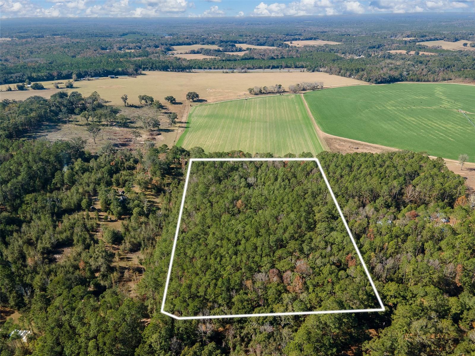 TBD N COUNTY RD 1491, ALACHUA, FL — photo 3