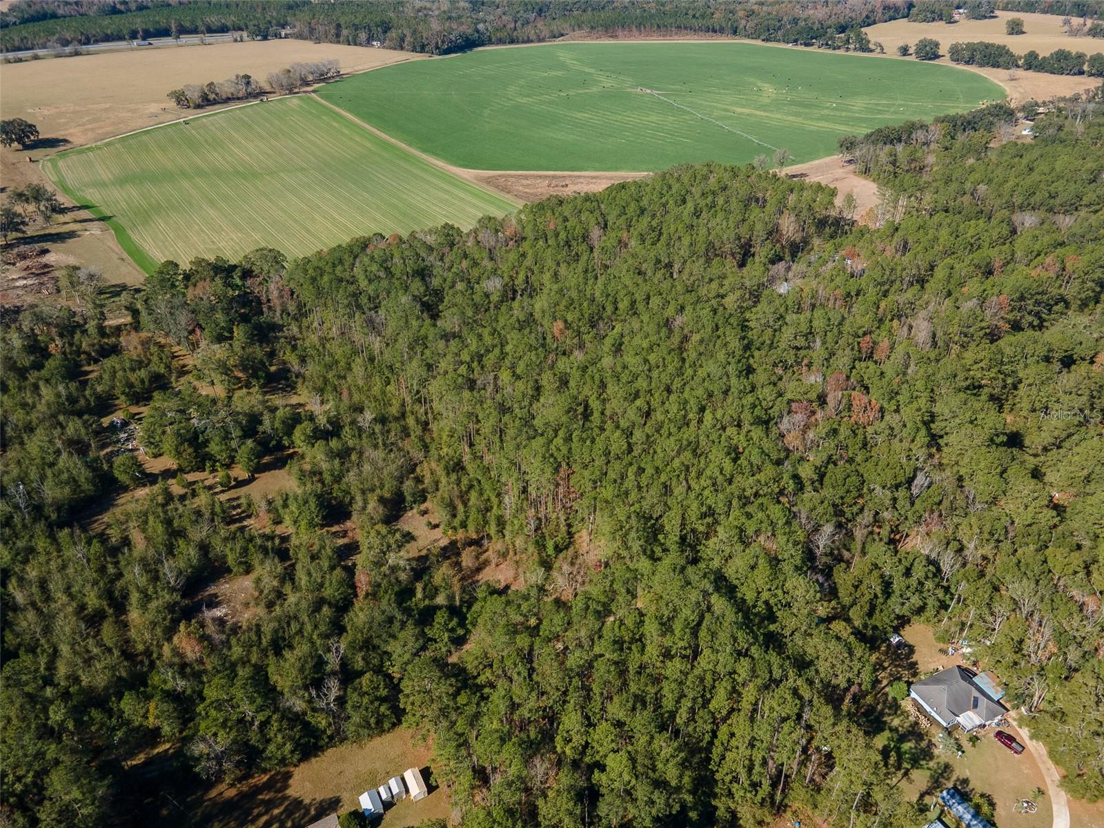 TBD N COUNTY RD 1491, ALACHUA, FL — photo 6