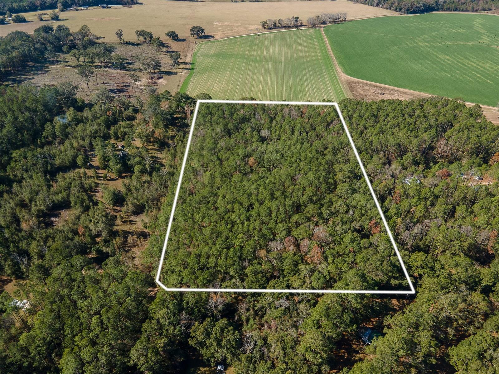 TBD N COUNTY RD 1491, ALACHUA, FL — photo 7