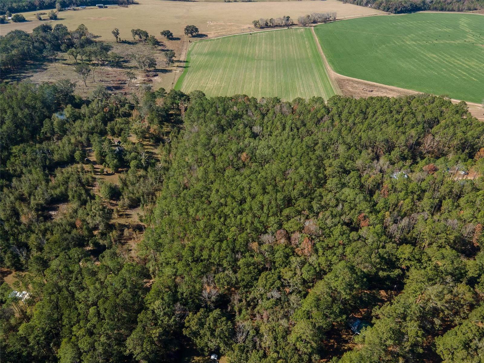 TBD N COUNTY RD 1491, ALACHUA, FL — photo 8