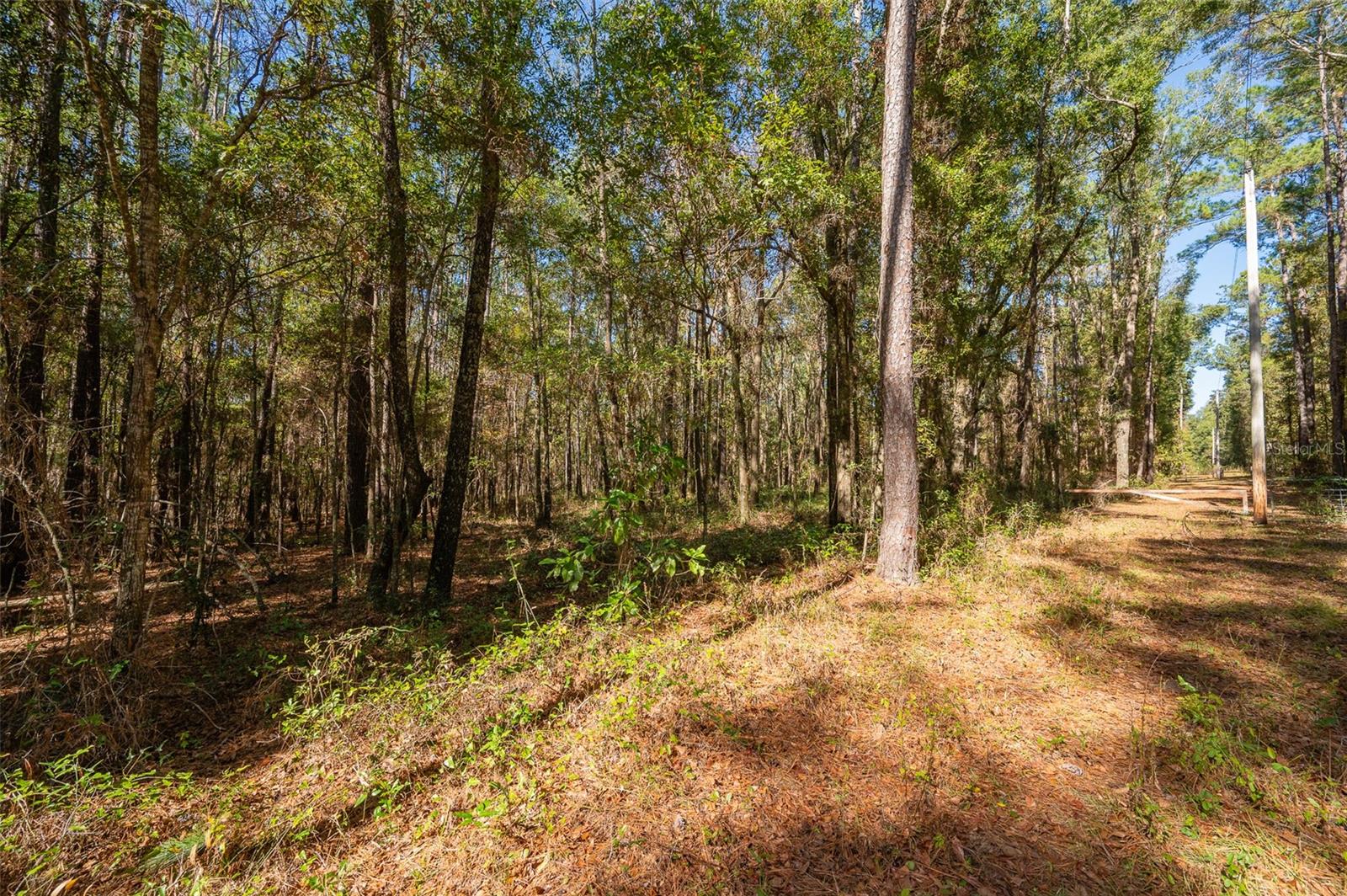 TBD N COUNTY RD 1491, ALACHUA, FL — photo 9