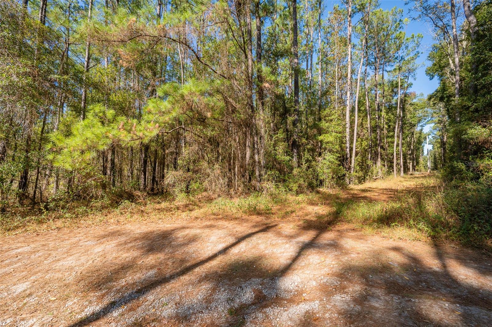 TBD N COUNTY RD 1491, ALACHUA, FL — photo 10