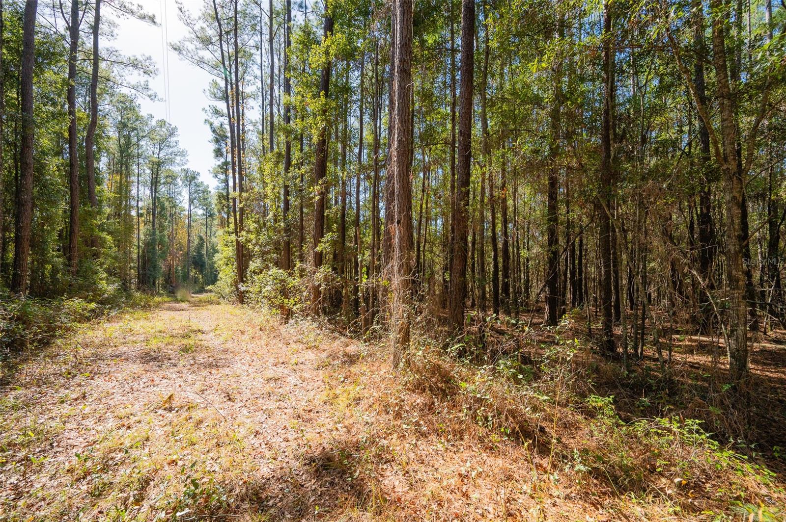 TBD N COUNTY RD 1491, ALACHUA, FL — photo 12