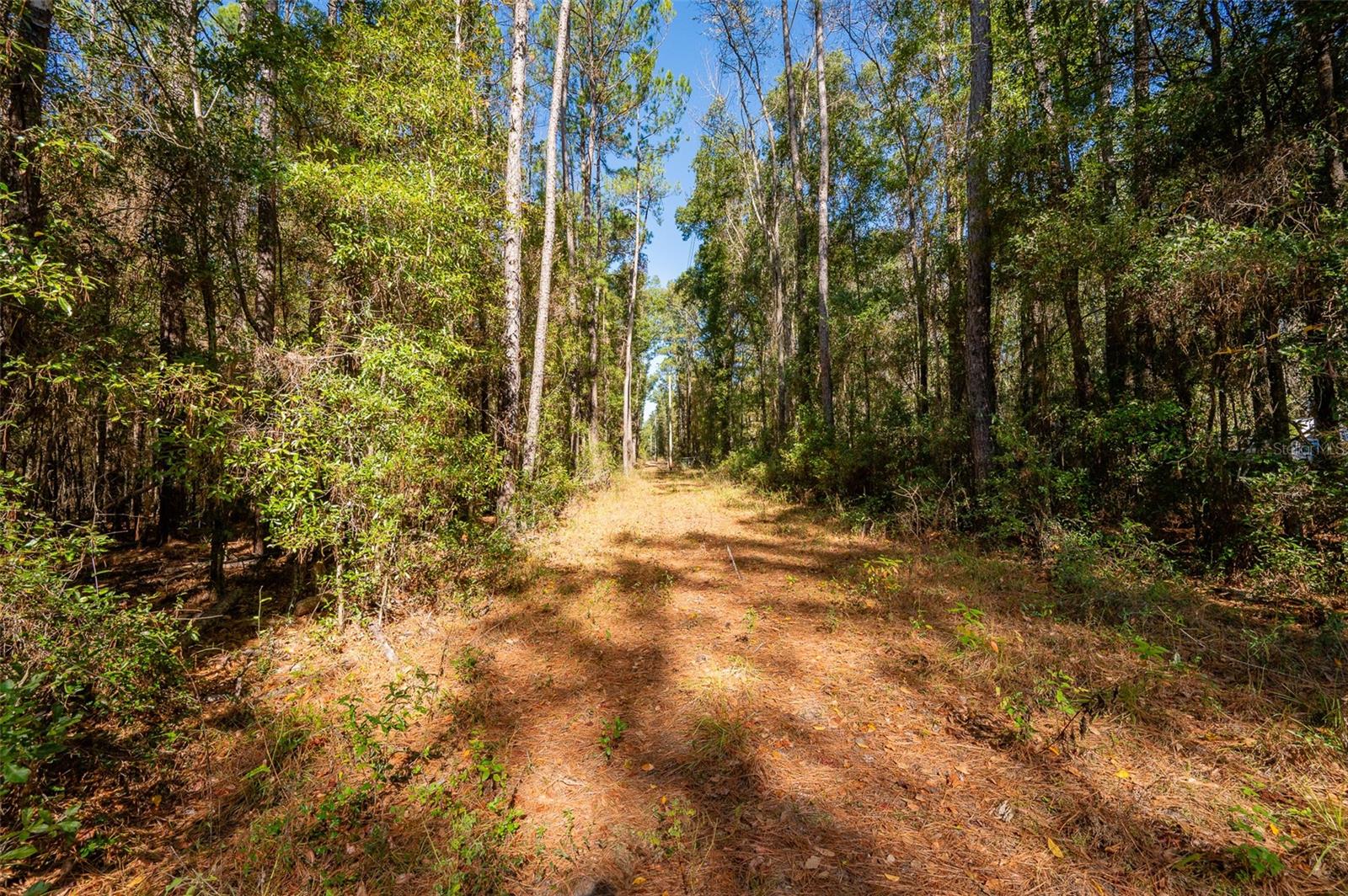 TBD N COUNTY RD 1491, ALACHUA, FL — photo 13