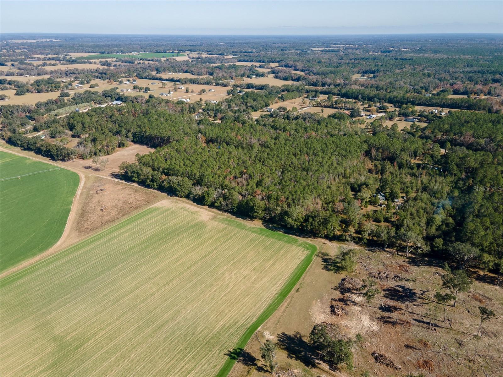TBD N COUNTY RD 1491, ALACHUA, FL — photo 19