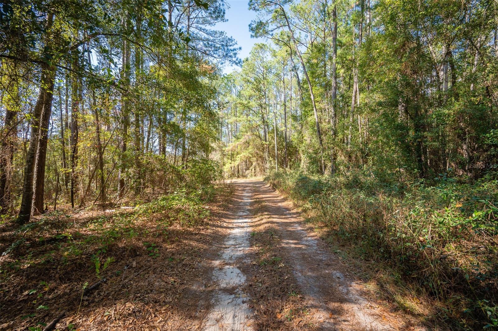 TBD N COUNTY RD 1491, ALACHUA, FL — photo 20