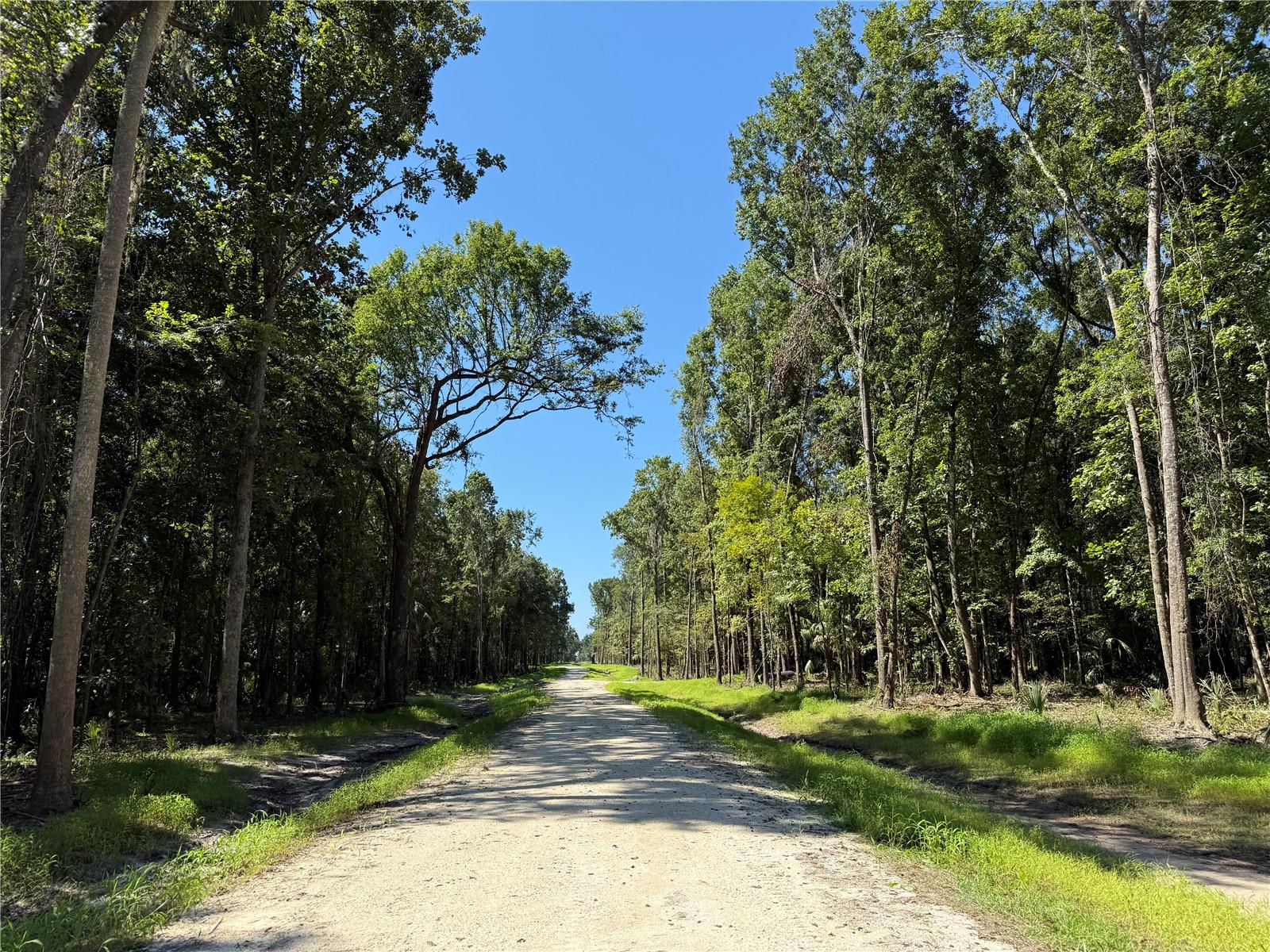 DR #7 (10ac) NW 193RD ST, MICANOPY, FL
