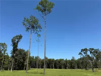 DR #7 (10ac) NW 193RD ST — photo 6