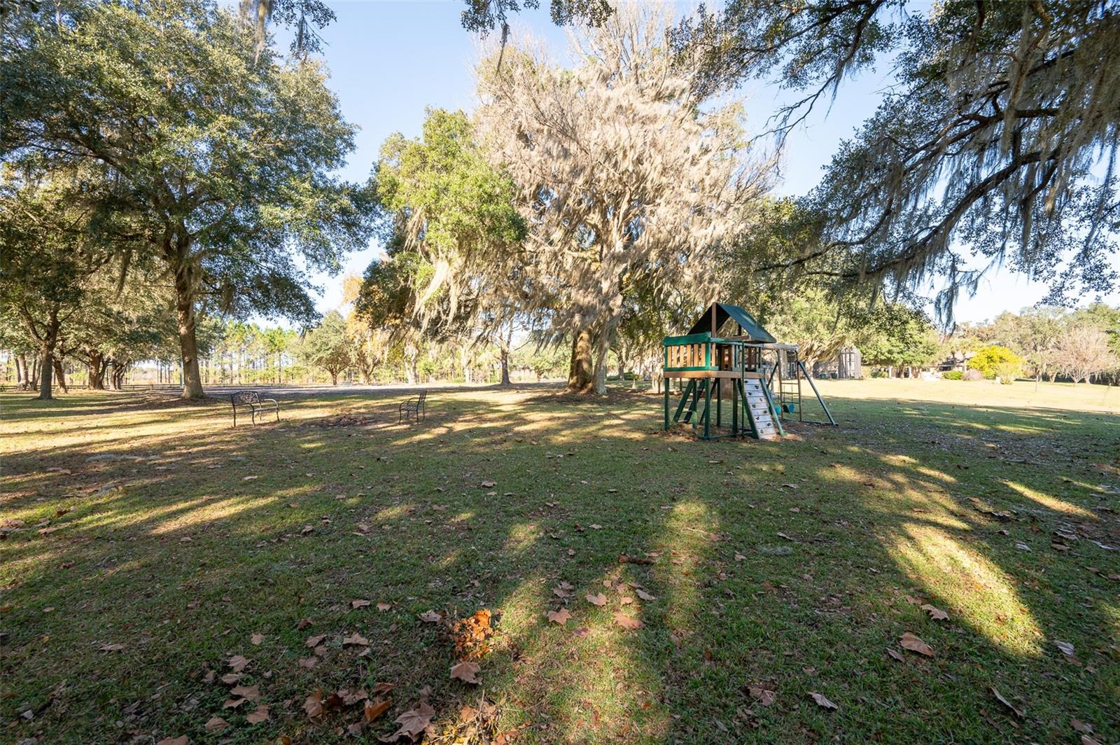 11715 NW 90TH AVE, REDDICK, FL — photo 150