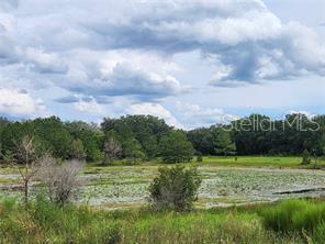 ORANGE RD, OCKLAWAHA, FL — photo 3