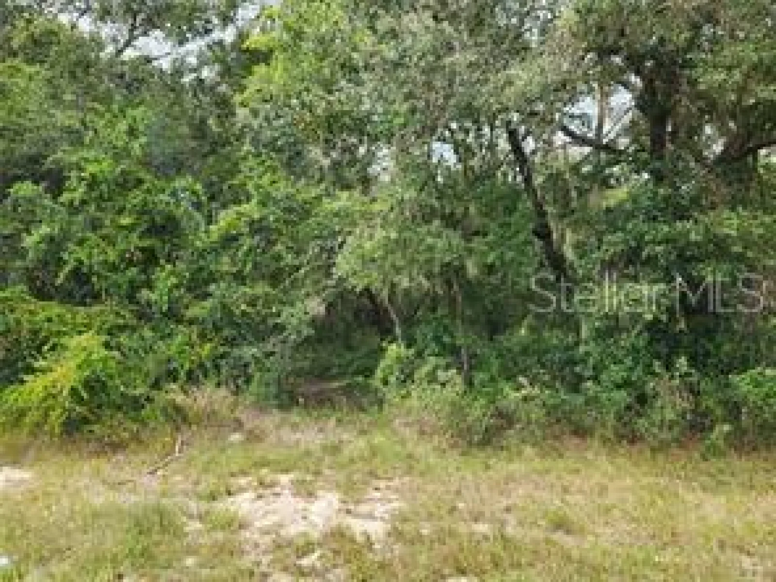 ORANGE RD, OCKLAWAHA, FL — photo 6