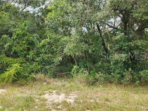 ORANGE RD, OCKLAWAHA, FL — photo 5