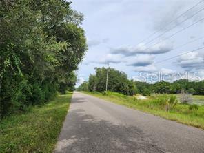 ORANGE RD, OCKLAWAHA, FL — photo 8