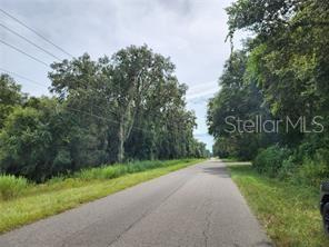 ORANGE RD, OCKLAWAHA, FL — photo 9