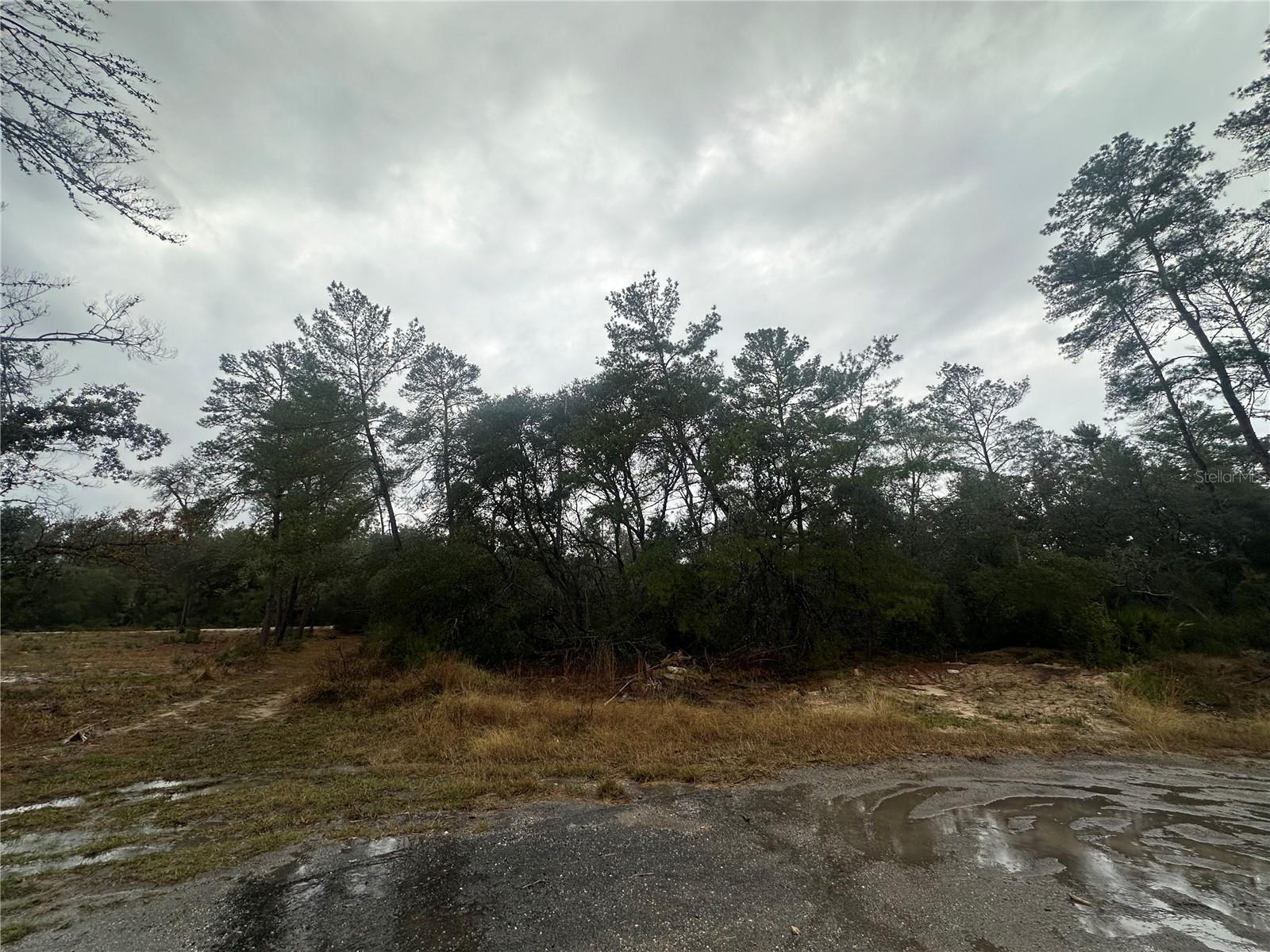 SW 35 TER, OCALA, FL — photo 2