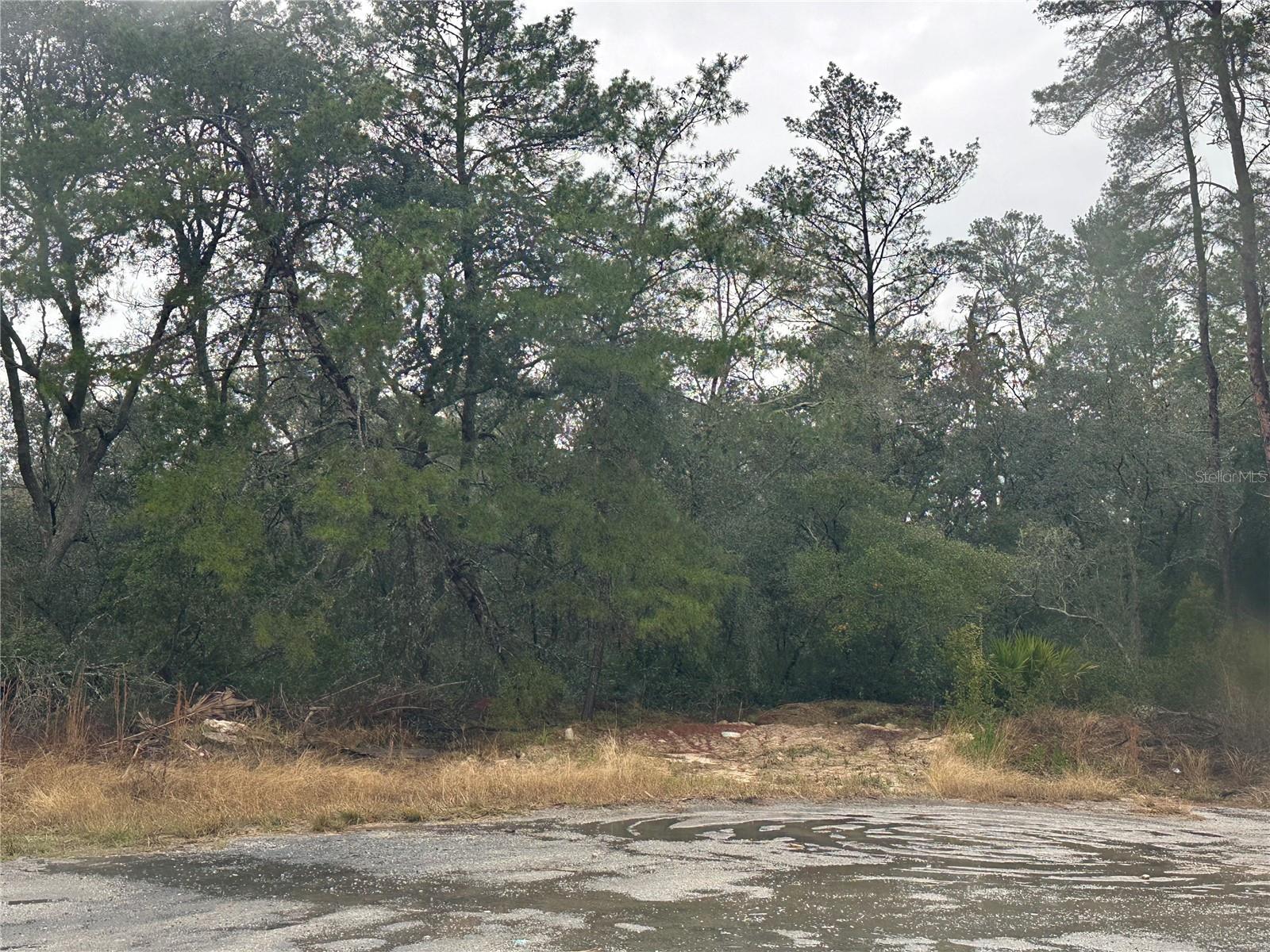 SW 35 TER, OCALA, FL — photo 3
