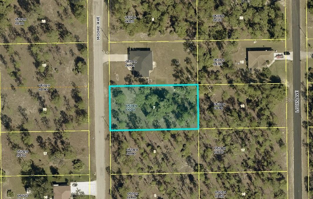 110 MOORE AVE, LEHIGH ACRES, FL