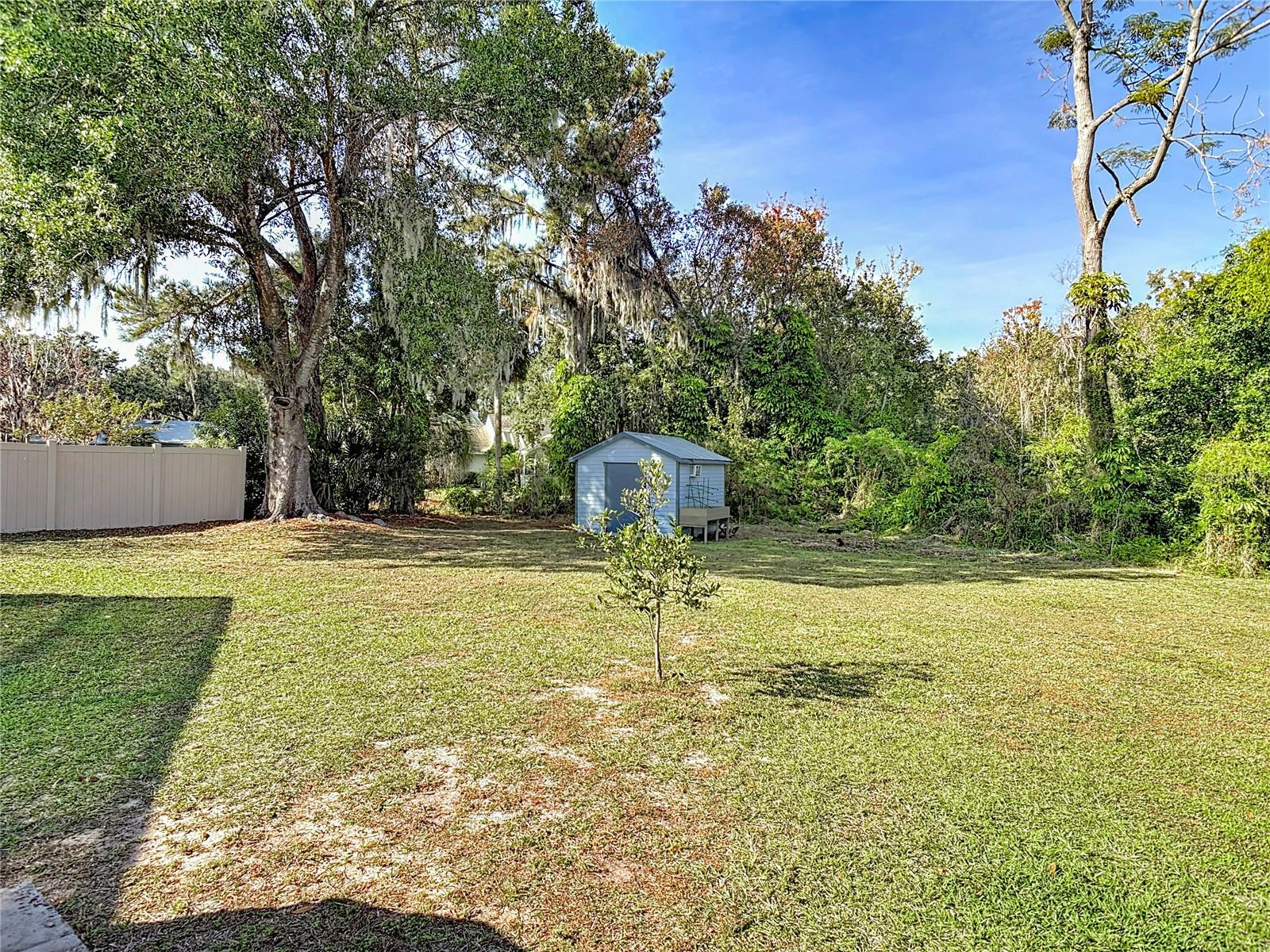 1807 VIRGINIA CT, TAVARES, FL — photo 101