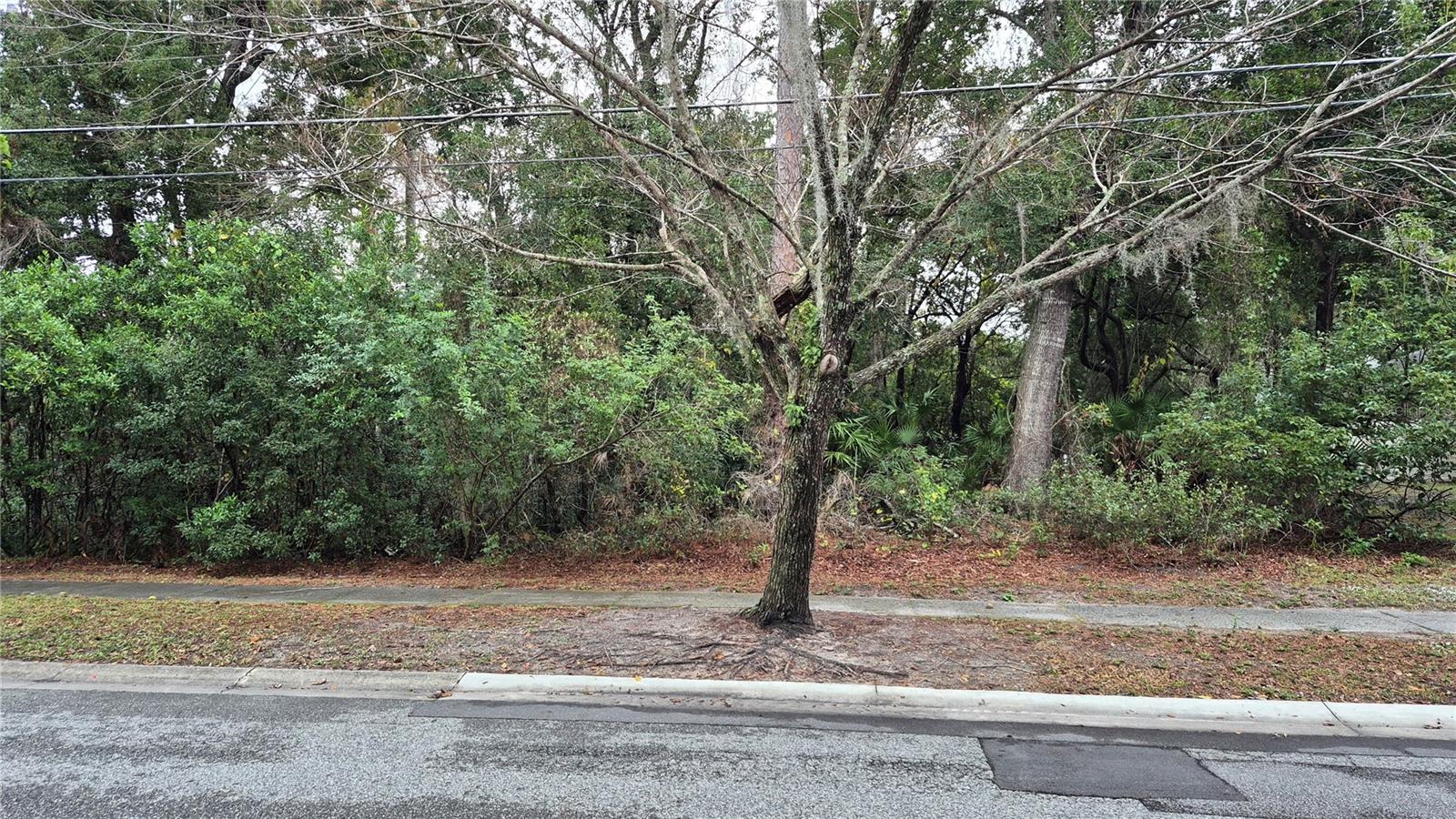 , WINTER SPRINGS, FL