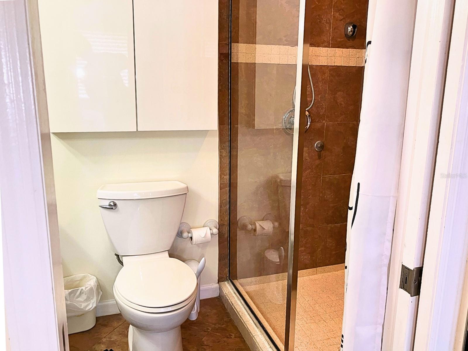 20921 HAULOVER CV ##F2, LUTZ, FL — photo 25