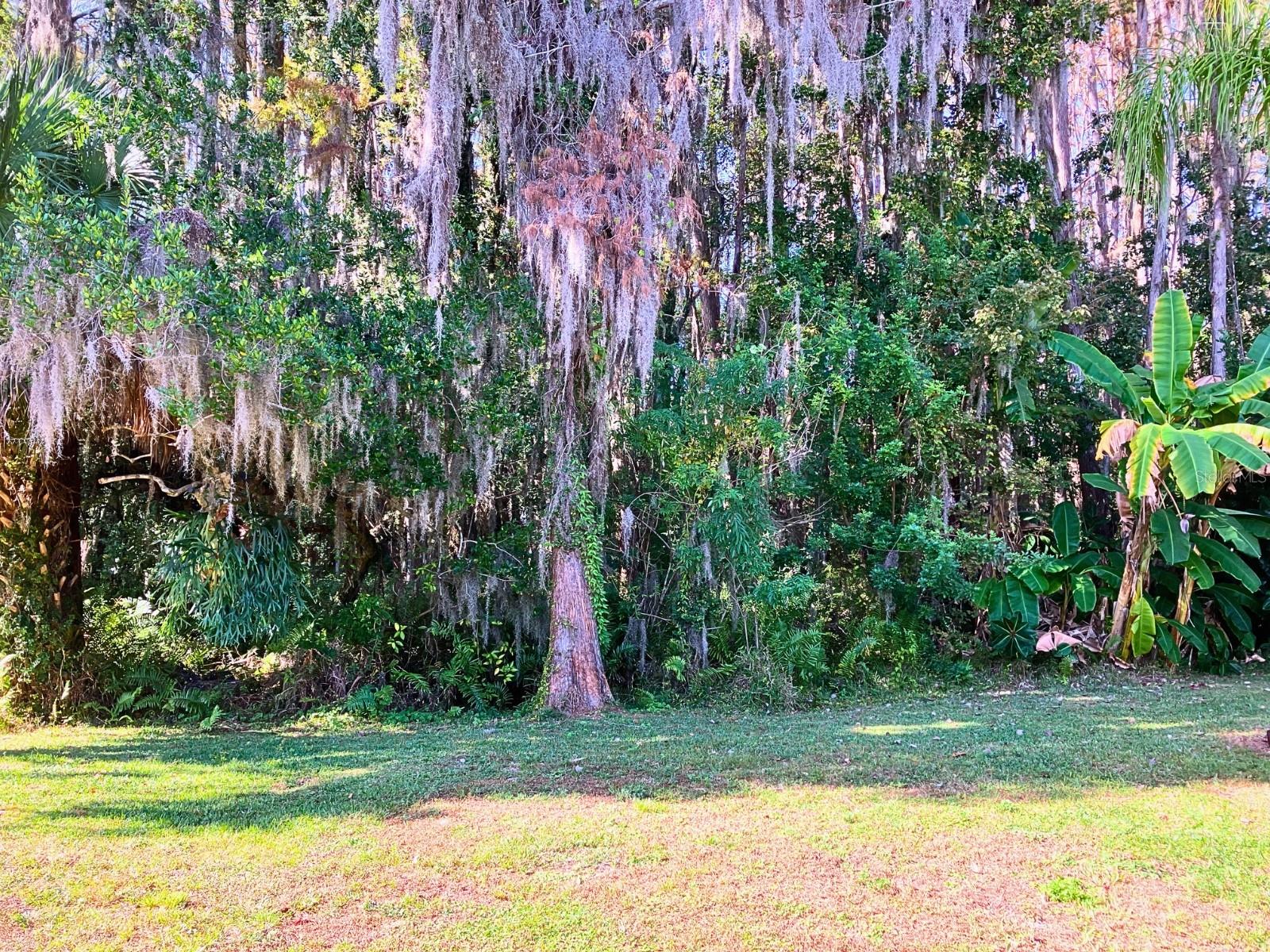 20921 HAULOVER CV ##F2, LUTZ, FL — photo 29