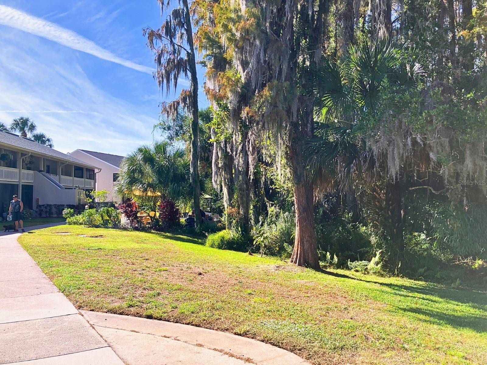 20921 HAULOVER CV ##F2, LUTZ, FL — photo 30