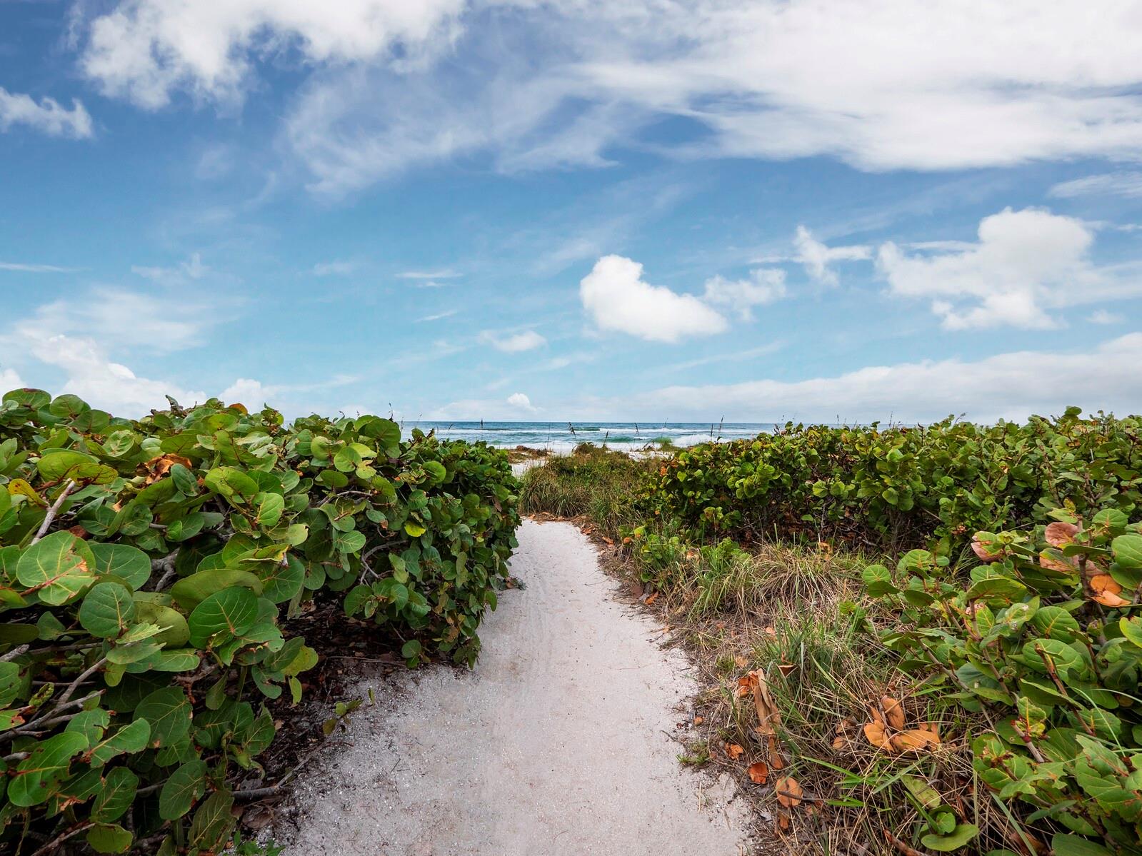 836 EVERGREEN WAY, LONGBOAT KEY, FL — photo 49
