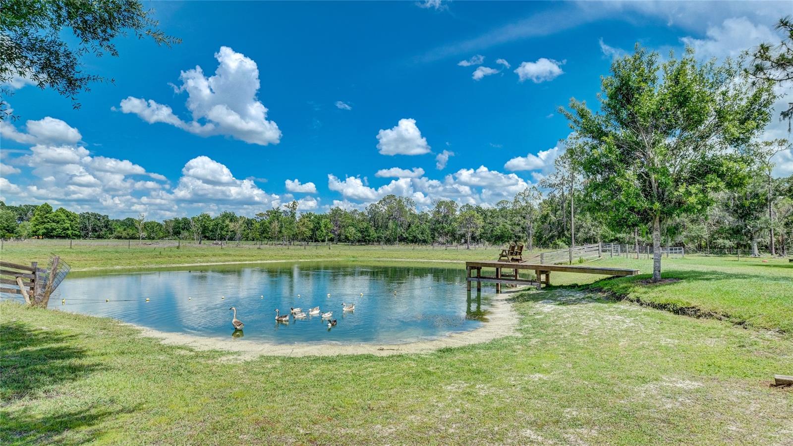 560 OAKFORD RD, SARASOTA, FL — photo 3