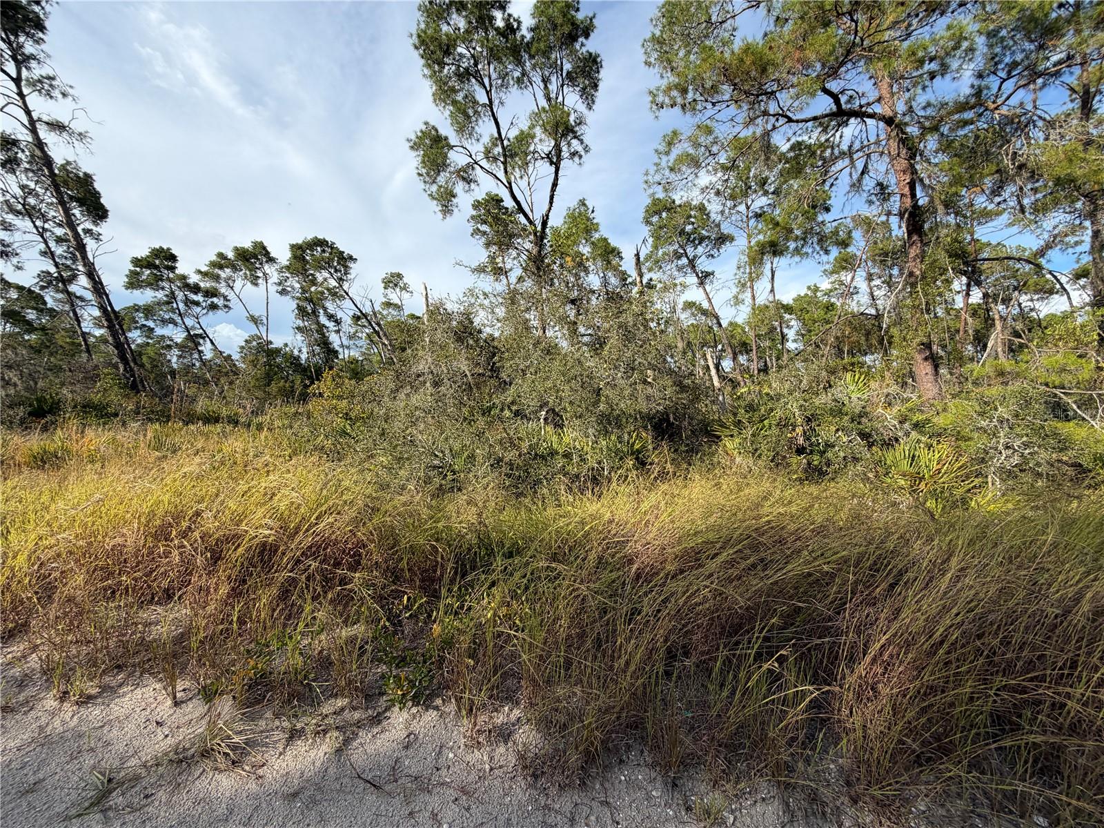 478 DARTER AVE, SEBRING, FL