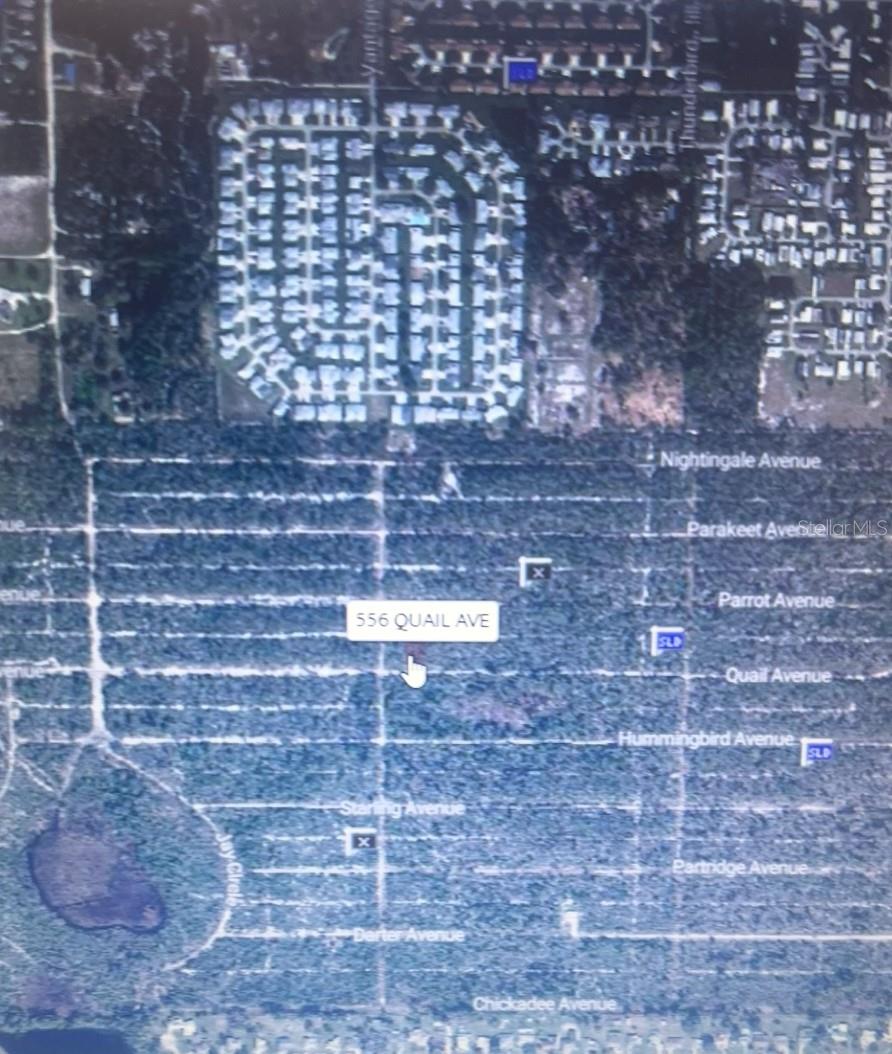 556 QUAIL AVE, SEBRING, FL