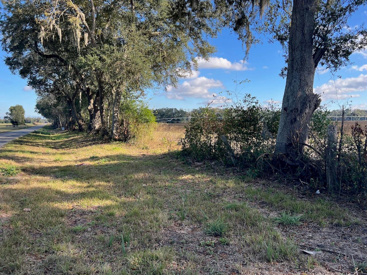 NE 150 ST, TRENTON, FL