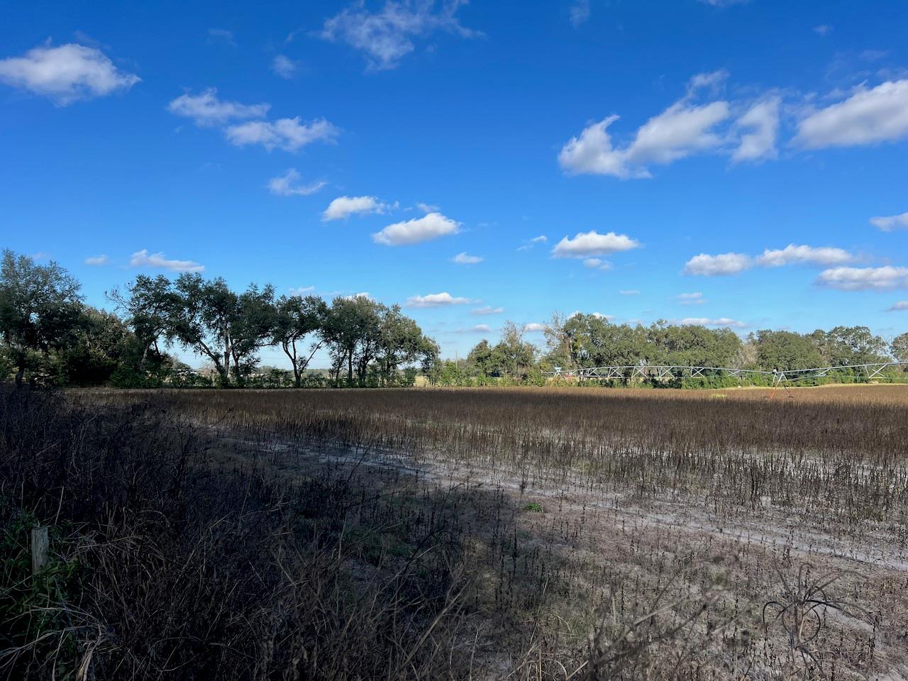 NE 150 ST, TRENTON, FL — photo 2