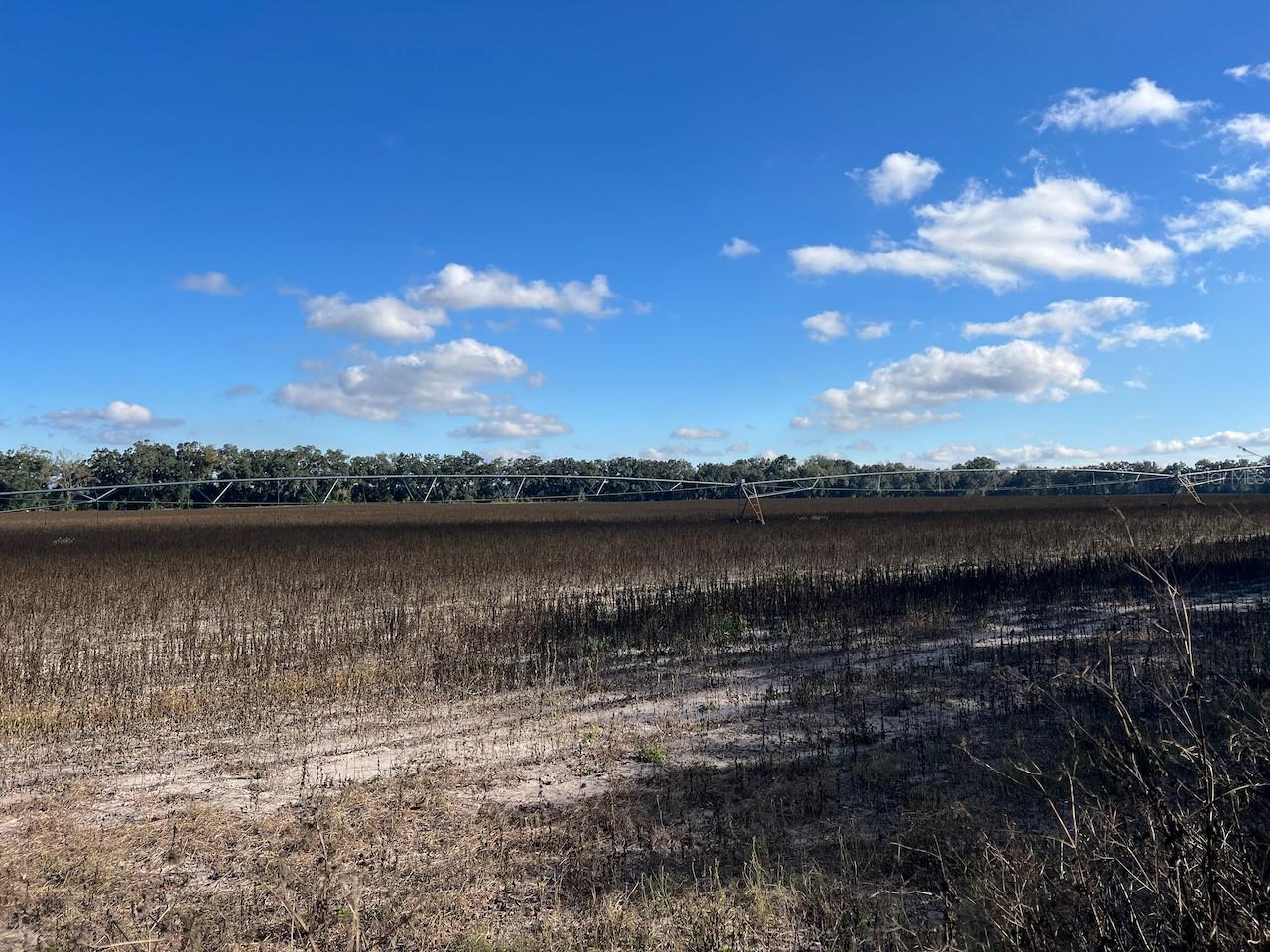 NE 150 ST, TRENTON, FL — photo 3